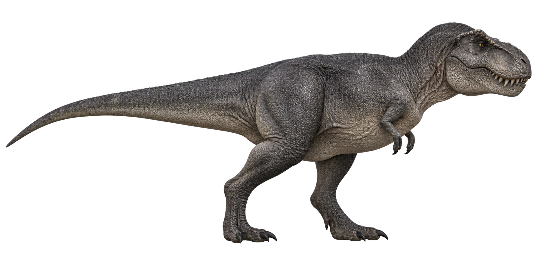 Khủng long Tyrannosaurus chân thực đang chỉnh màu